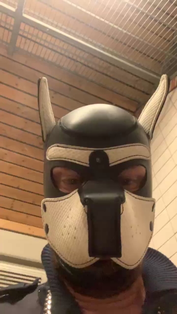machobulle2  11-07-2021 Recorded Video Porn